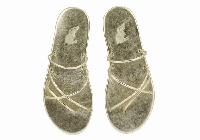 Sandales à Glissière Ancient Greek Sandals Pu   | ZUK-6343381